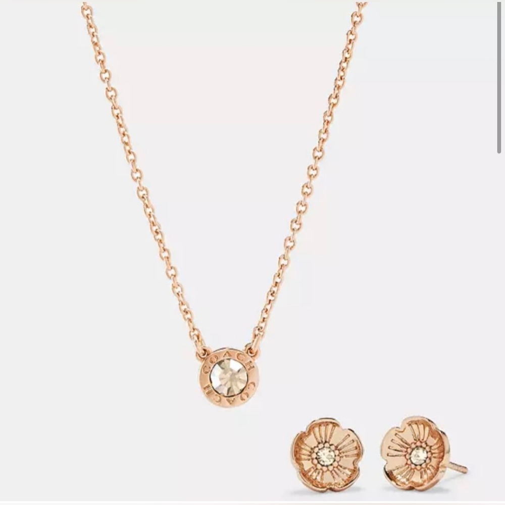BRAND NEW Coach rose gold earring and necklace set